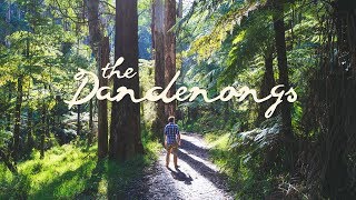 Hiking the Dandenong Ranges National Park  Melbourne Australia [upl. by Tsui]