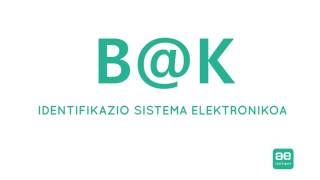 BK IDENTIFIKAZIO SISTEMA ELEKTRONIKOA [upl. by Gonsalve]