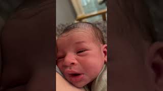 Baby sneezing cutest thing ever… short cutebaby family love tiktok [upl. by Dewhirst]