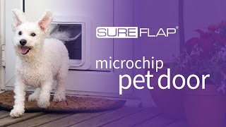 Introducing the SureFlap Microchip Pet Door [upl. by Ellimahs461]