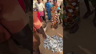 Fishing video fishing seafood fishermanlifestyle fish food fishermanmind seafoodrecipes [upl. by Ettennal]