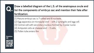 Draw a labelled diagram of the LS of the anatropous ovule and list the components of embryo sac a [upl. by Sacken]