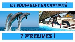 7 PREUVES QUE LES DAUPHINS SOUFFRENT EN CAPTIVITÉ [upl. by Ri]