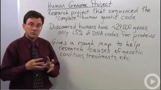 Human Genome Project [upl. by Fannie]