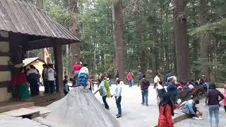 Hadimba Mata temple Manali [upl. by Fae]