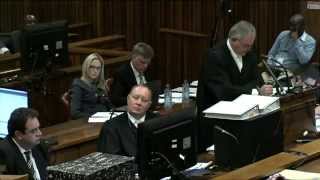 Oscar Pistorius Trial Tuesday 8 April 2014 Session 2 [upl. by Darmit]