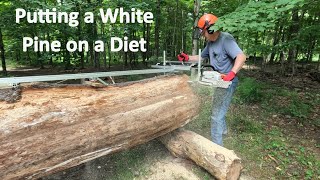 Alaskan Chain Saw Mill and Woodmizer LT15 stihl woodmizer [upl. by Evonne]