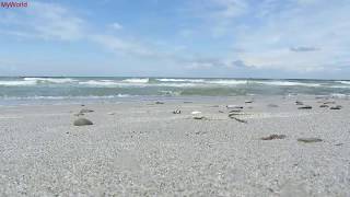 1 h Meeresrauschen Entspannung Wellenrauschen Wellen Strand Meer Ostsee HD [upl. by Refinnaej]