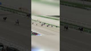 HOW DID THIS HORSE WIN South Koreas Lala K flies from last at Seoul horseracing korea [upl. by Saffier]