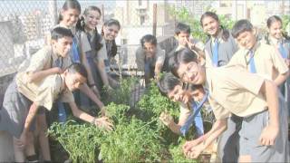 Social amp environmental projects at the Eden Project [upl. by Marylinda472]