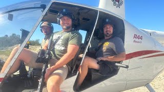 Hogs from Chopper with Divided Find Ranch TX [upl. by Etak659]