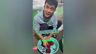 纯虫开法！魔拉虫，状态好到爆 原来钓鱼才是抖音运动顶流 爆护饵料 [upl. by Eniamahs207]