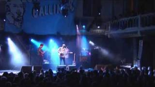 bombay bicycle club live  london calling 2008 [upl. by Yam152]