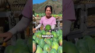 ¡Increíble Mangos Sin Semillas en una Granja Asiática 🥭✨ shorts [upl. by Ruenhcs]