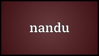 Nandu Meaning [upl. by Elletsirhc]