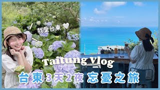 【台東忘憂之旅👒】台東美食吃不停｜多良車站秘境海景咖啡廳｜青山農場賞繡球｜阿咪米苔目、厚切生魚片、巨無霸蒸餃、早點來早餐店 [upl. by Amsed]