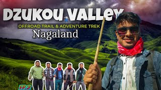 Welcome to Dzukou Valley  Most Unique Place in India  Exploring Nagaland  Ep2 Assamese Vlog [upl. by Ennahtur]