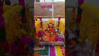 Johar johar gaurigaura matar diwalispecial youtubeshorts shorts raipurgaurigaura cgshorts [upl. by Amery175]