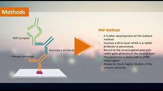 peroxidase and anti peroxidase method vedio [upl. by Aneelahs624]