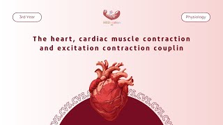 Physiology  The heart cardiac muscle contraction and excitation contraction coupling [upl. by Stegman]