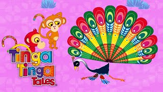 Peacocks Pride and Fall 🦚  Tinga Tinga Tales Official  1 Hour of Full Episodes [upl. by Aikemal254]