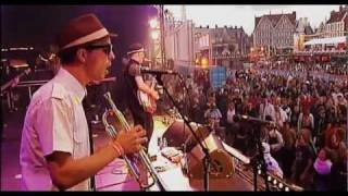 DINAMO Latin SKA  NITE KLUB  Cover from THE SPECIALS Live in Belgium [upl. by Kina843]