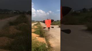 Thả diều sáo đại trà cõng giàn sáo gì đây các bạn vietnamkite kite xuhuong youtubeshorts [upl. by Llenreb]