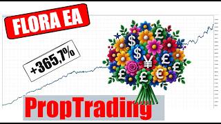 Nur 3 Währungen Mega Profite bei niedrigem DrawDown PropTrading ready [upl. by Safir158]