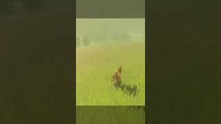 Slide on the grass in Zelda BOTW  Zelda Breath of the Wild viral Zelda botw shorts [upl. by Libre]