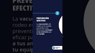 3 claves que debes conocer sobre el Carbunclo Bacteriano  Biogénesis Bagó Argentina [upl. by Lemay]