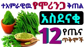 ተአምራዊዉ 🌿የሞሪንጋ ቅጠል 12 የጤና ጥቅሞቹ እና ጉዳቱ  12 benefits of moringa leaves  Dr Nahom [upl. by Nanek]