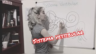 Sistema Vestibular  Resumo da anatomia fisiologia e função do Sistema Vestibular Periférico [upl. by Reehsab]