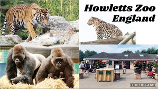 Visit Howletts Wild Animal Park  Howletts Wild Animal Park Canterbury Kent England  Day out [upl. by Thury]