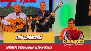 Trio Chamame Chamameceros Sangre Nueva 28 09 24 [upl. by Izaak]