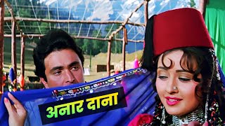 Naar Dana Anar Dana Full 4K Song  Henna 1991  Zeba Bakhtiar  Lata Mangeshkar  90s Hindi Song [upl. by Vachill618]