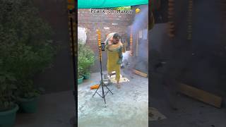 Prank On Mummy Fly karke 🤣dance trending youtubeshorts viraldance punjab [upl. by Lerim]