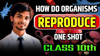 How do organisms reproduce complete chapter 🔥 How do organisms reproduce  Class 10 science bio [upl. by Agnot]