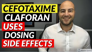 Cefotaxime Claforan  Pharmacist Review  Uses Dosing Side Effects [upl. by Aivatra192]