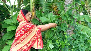 গ্রাম বাংলার হারিয়ে যাওয়া তেলাকুচা শাকের দুটি বিশেষ পদ l Telakucha Shak Recipe [upl. by Hsepid]