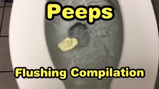 265 Peeps Flushing Compilation [upl. by Yelnek798]