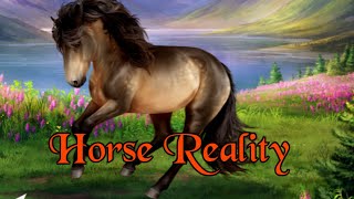 Horse Reality 56 XXL Folge Zucht amp Fohlen [upl. by Tiersten]