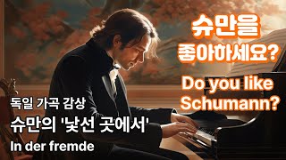 감성 터지는 독일 가곡 슈만의 In der fremde 낯선 곳에서 [upl. by Ydissahc]