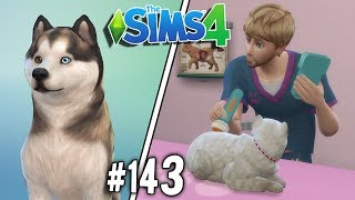 🐱🏥😍 Clinica Veterinaria  Los Sims 4 Perros y Gatos [upl. by Omrellig]