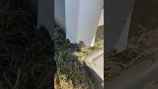 Vinyl Siding Corner Repair [upl. by Warrin274]