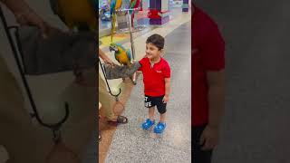 wow Azaan is not afraid of standing parrot on his arm [upl. by Anabahs]