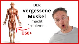 DIESER Muskel macht PROBLEME wenn du Ü50 bist [upl. by Pardoes]