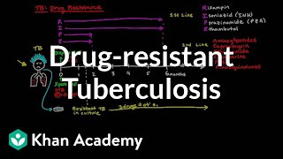 Drugresistant TB  Infectious diseases  NCLEXRN  Khan Academy [upl. by Enorel726]