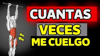 😱Con que Frecuencia Deberias Colgarte de Una Barra Todos los dias NO [upl. by Sanford]