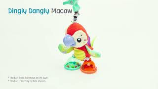 0188624 Dingly Dangly Macaw [upl. by Pacificas698]