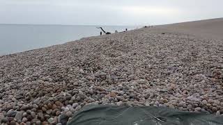 Fishing at Portland Chesil 31st August 2024  nearly blanked [upl. by Aeila]